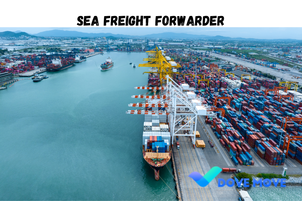 Sea Freight Forwarder