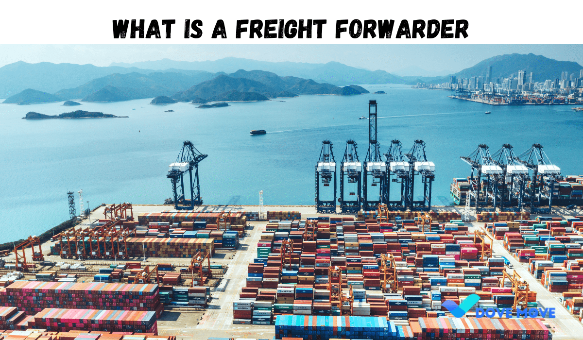 what is a freight forwarder