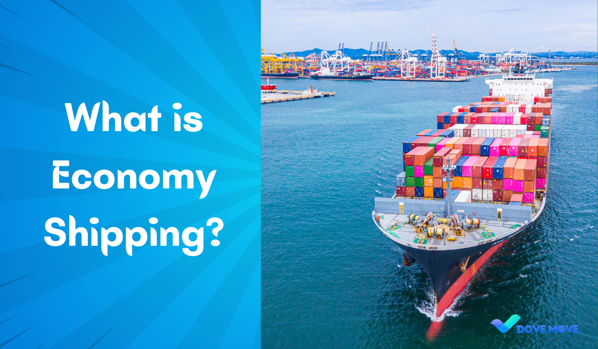 What is Economy Shipping