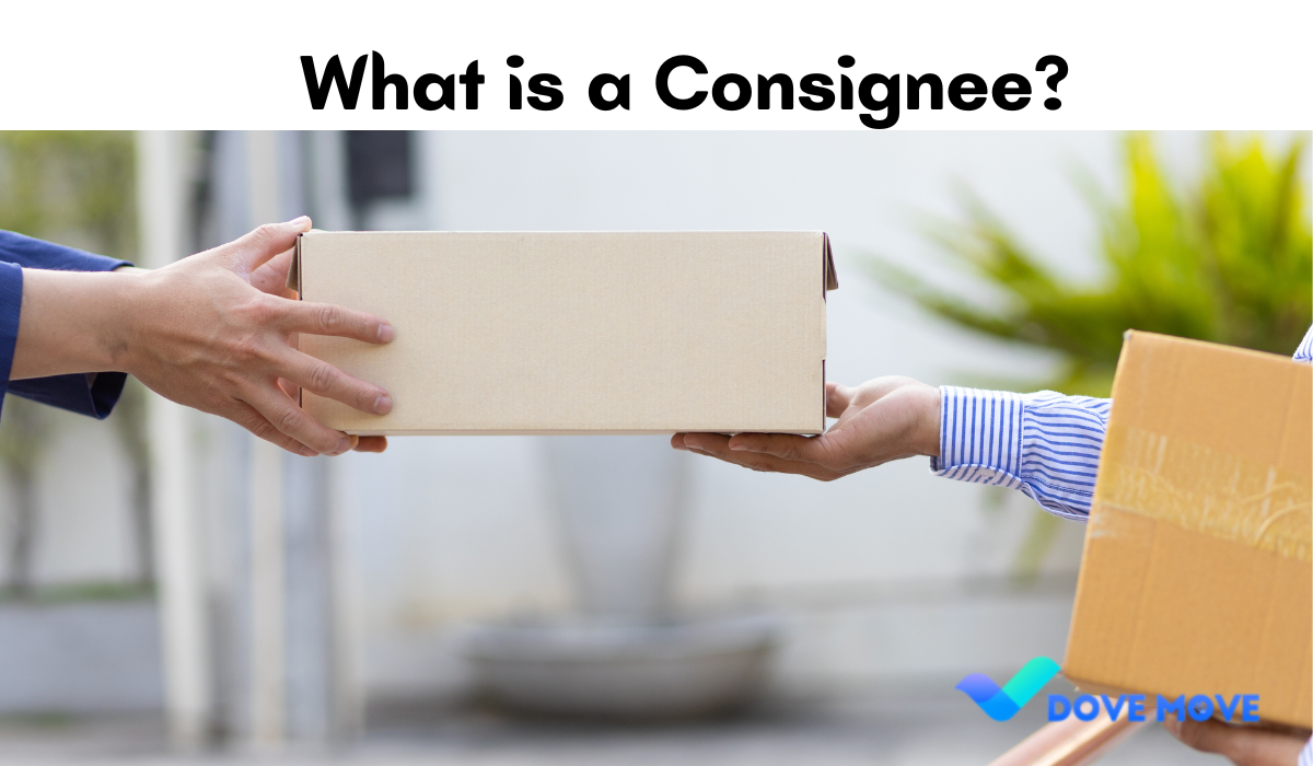 What is a Consignee