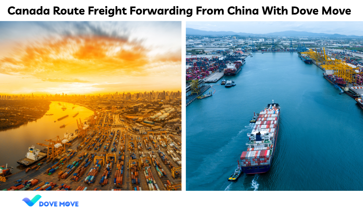 Canada Route Freight Forwarding From China With Dove Move