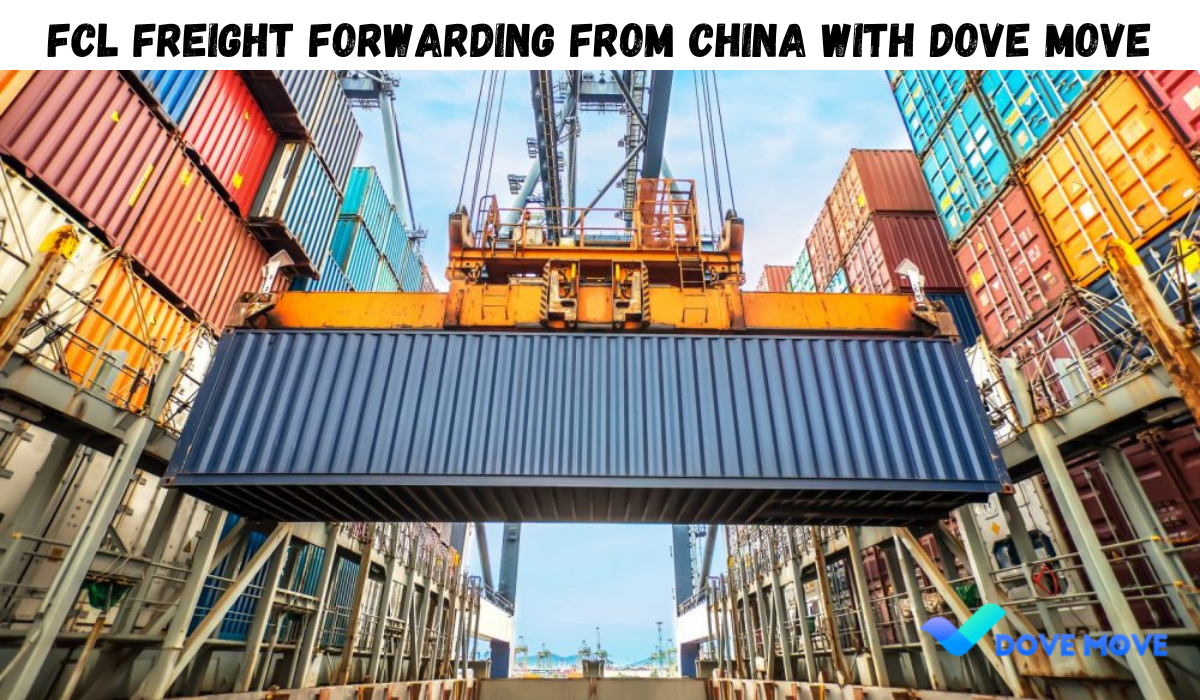 FCL Freight Forwarding From China With Dove Move