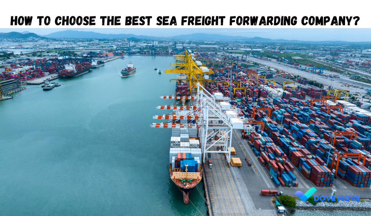 How to Choose the Best Sea Freight Forwarding Company?