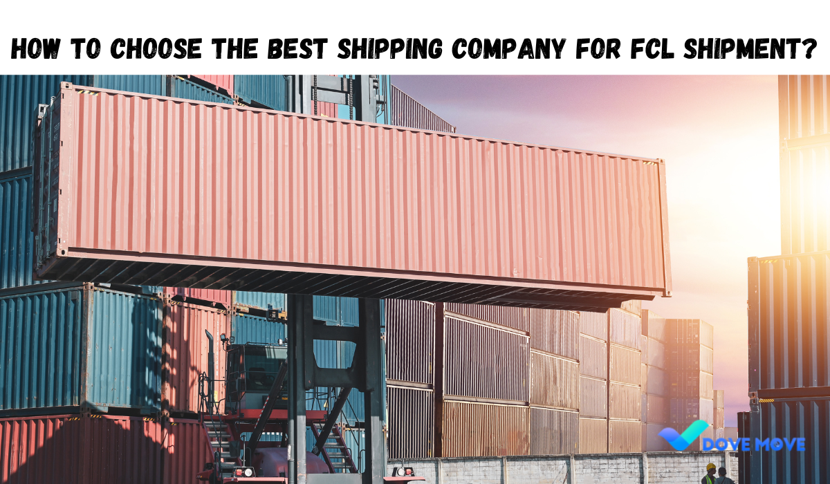 How to Choose the Best Shipping Company for FCL Shipment?