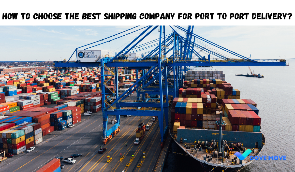 How to Choose the Best Shipping Company for Port To Port Delivery?