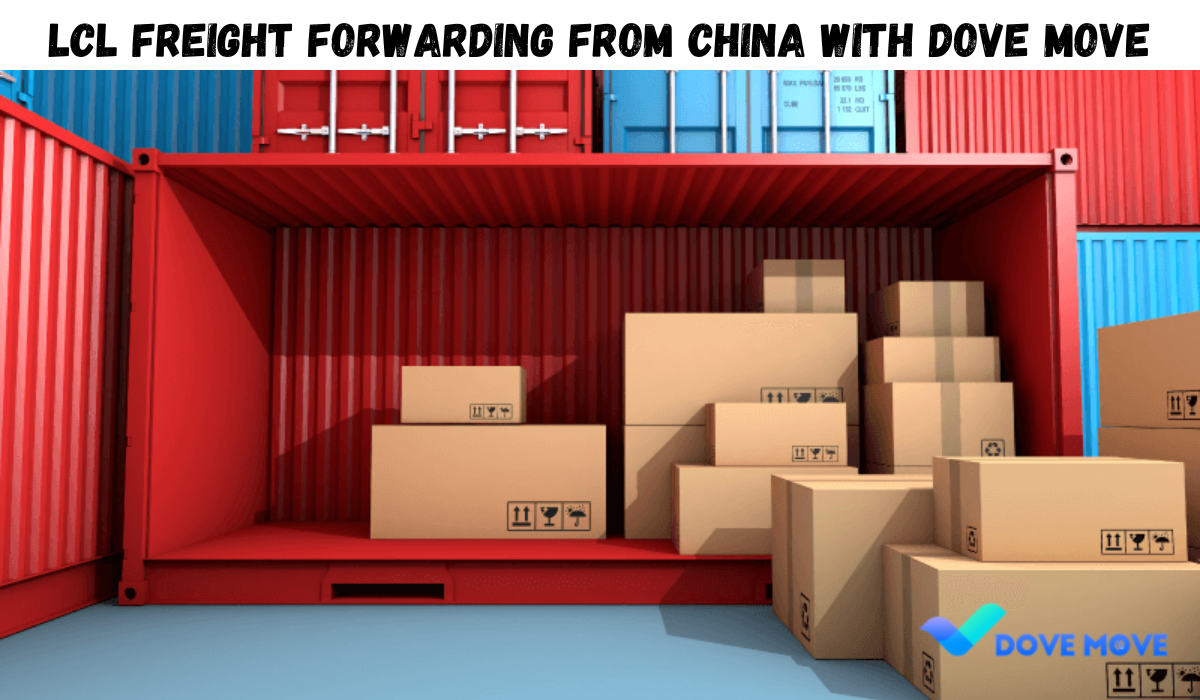 LCL Freight Forwarding From China With Dove Move