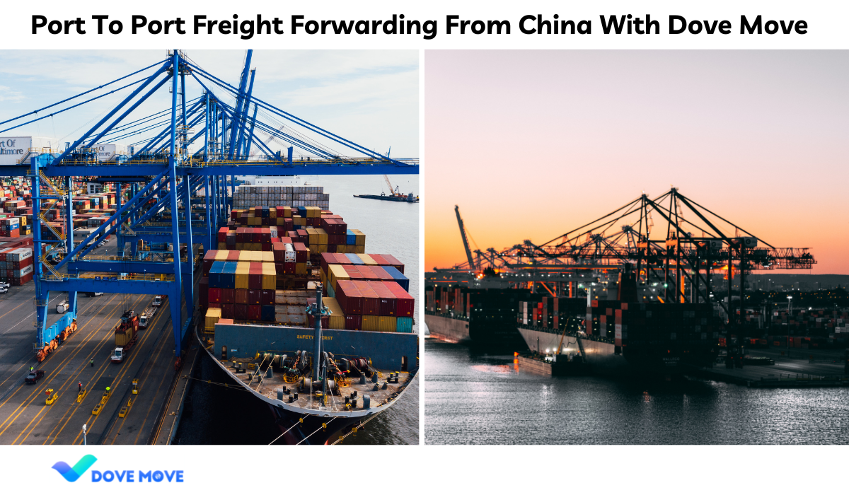 Port To Port Freight Forwarding From China With Dove Move