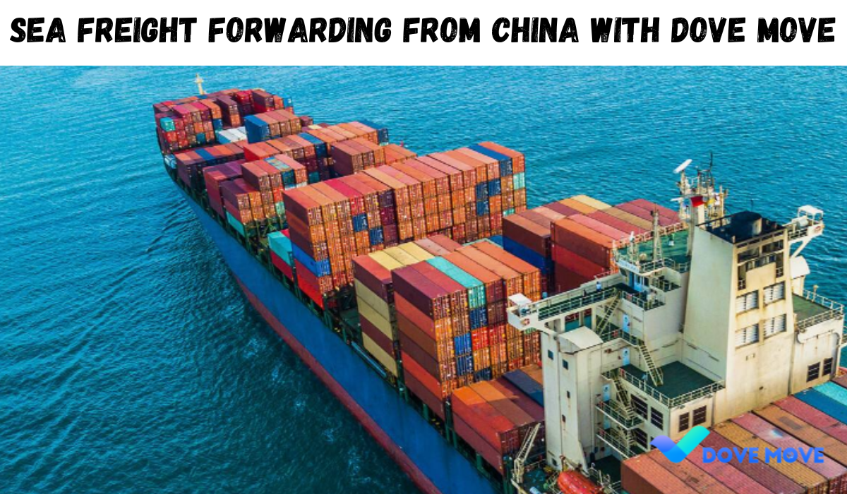 Sea Freight Forwarding From China With Dove Move
