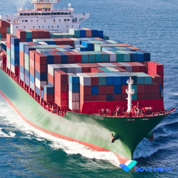 Sea Freight Shipping from China to Amazon FBA