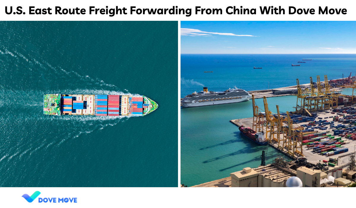 U.S. East Route Freight Forwarding From China With Dove Move