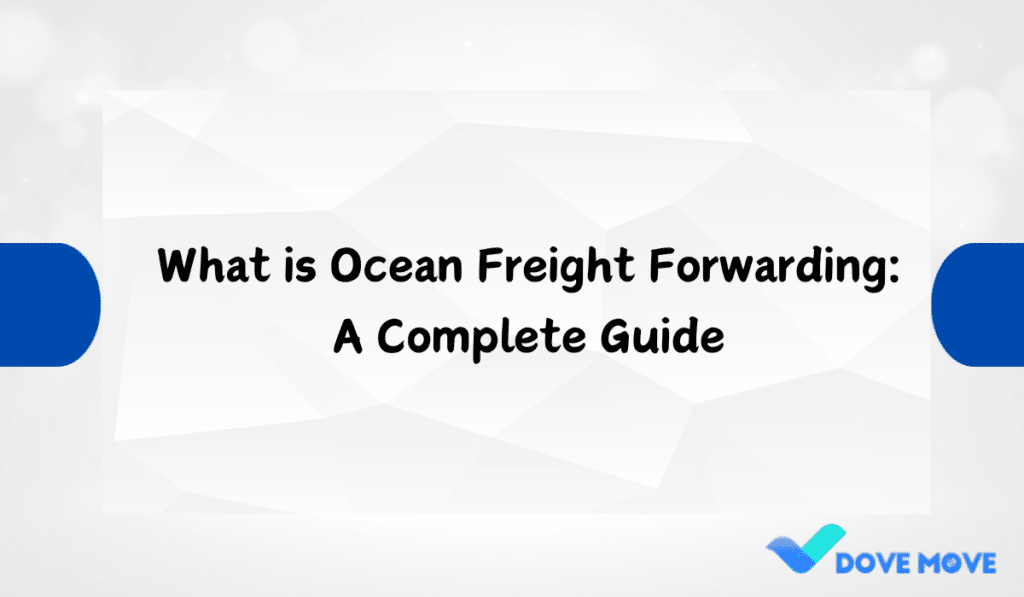 What is Ocean Freight Forwarding: A Complete Guide