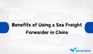 Benefits of Using a Sea Freight Forwarder in China