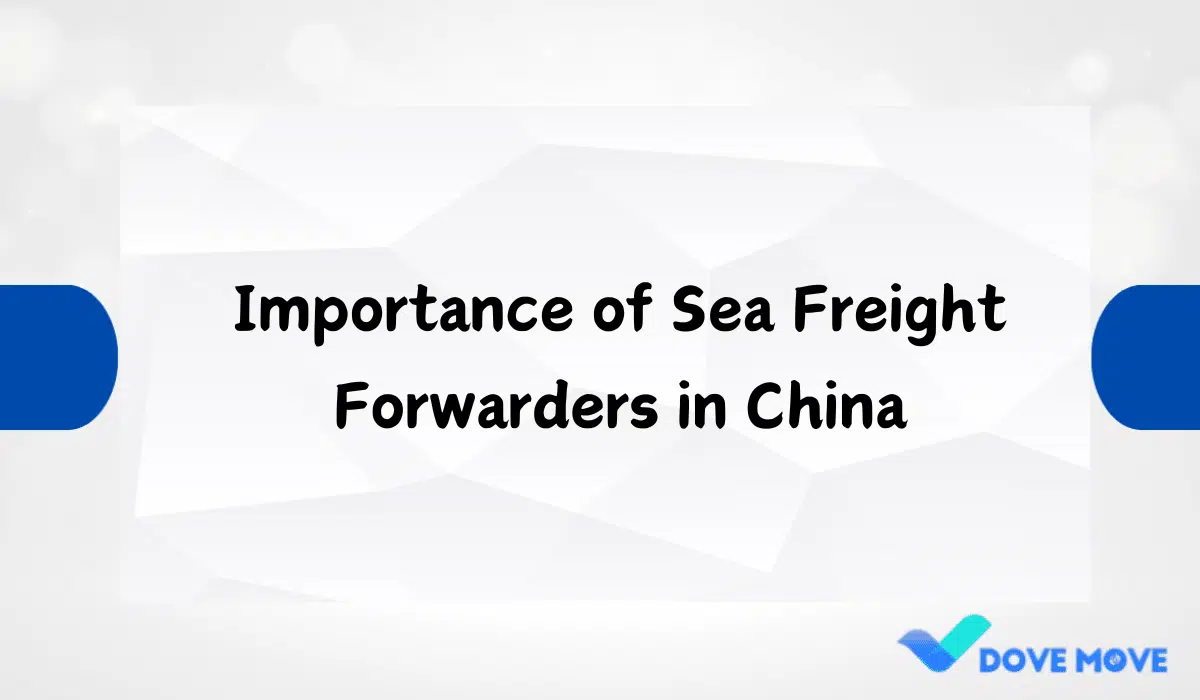 Importance of Sea Freight Forwarders in China